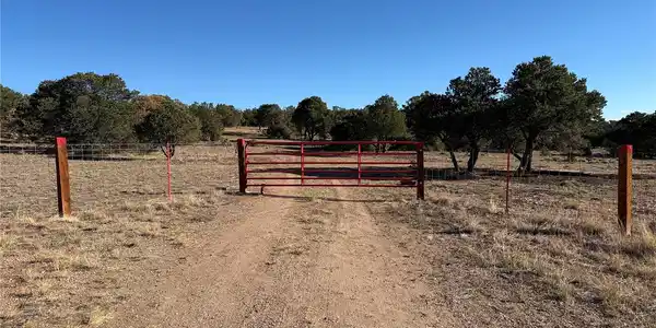 Image 3 Image 3