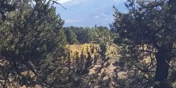 13685 Highway 291
