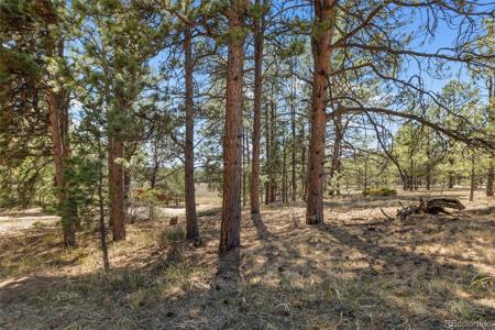 349 Rhyolite Lane
