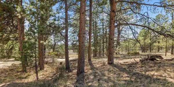 349 Rhyolite Lane