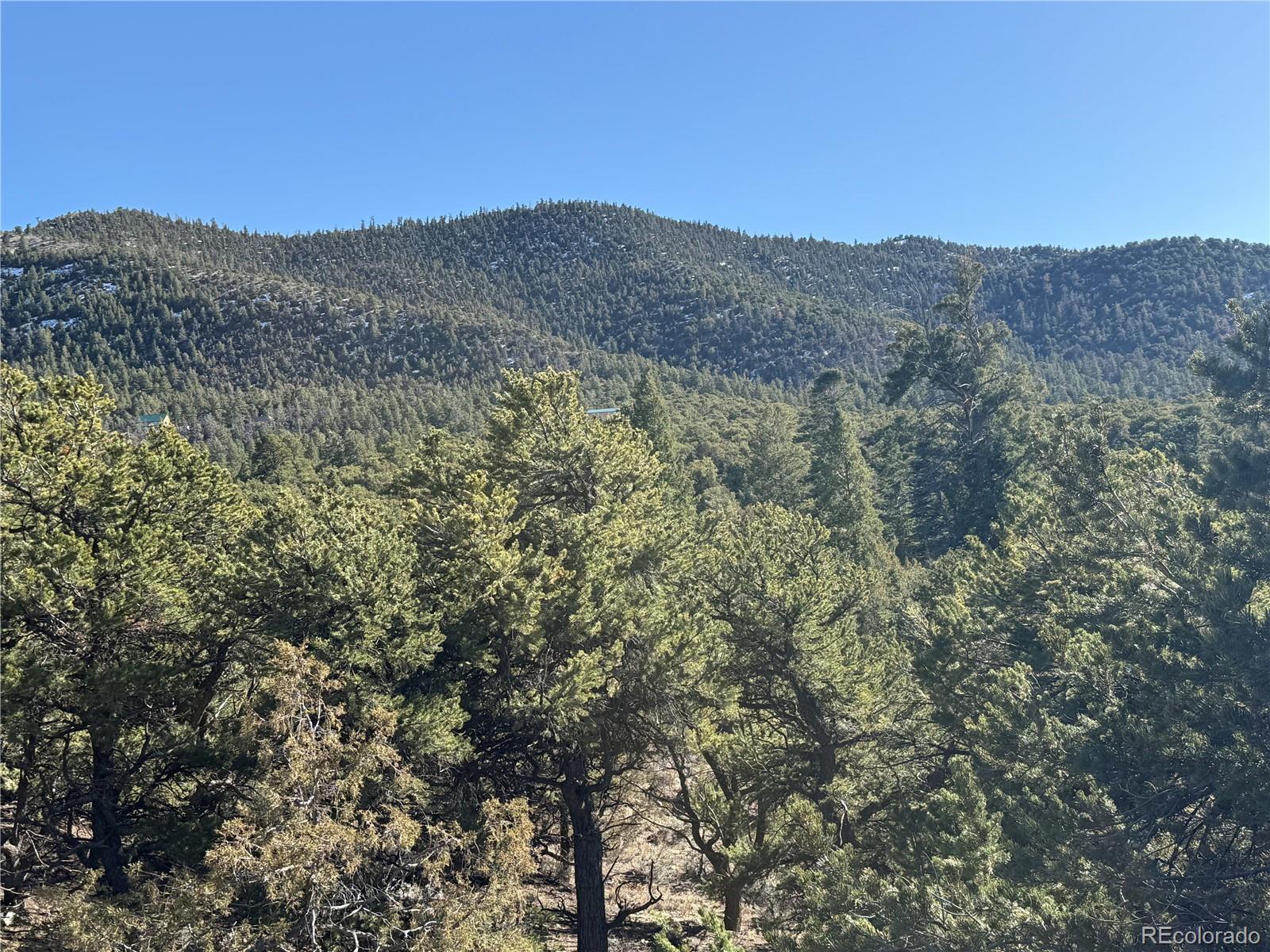 Image 3 Image 3