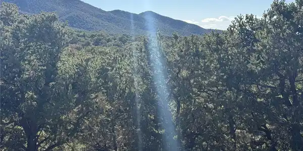 Image 4 Image 4
