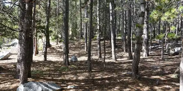 Image 2: Welcome to this flat lot ready to build your dream home!