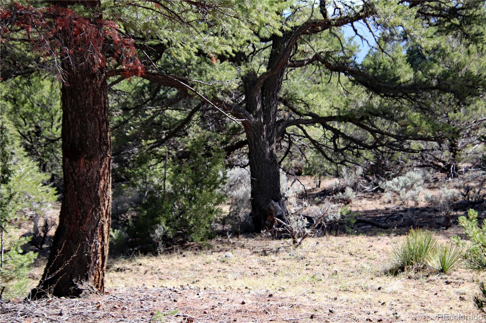 Image 4 Image 4