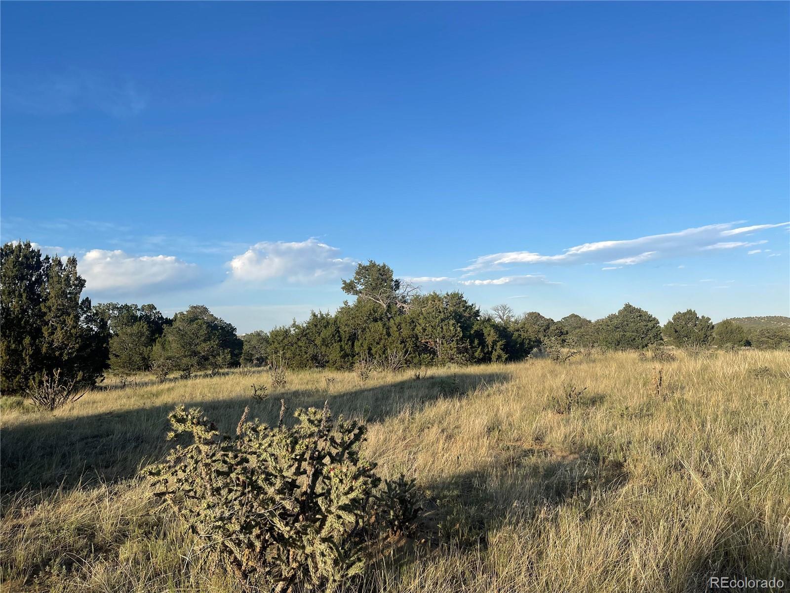 Image 4 Image 4