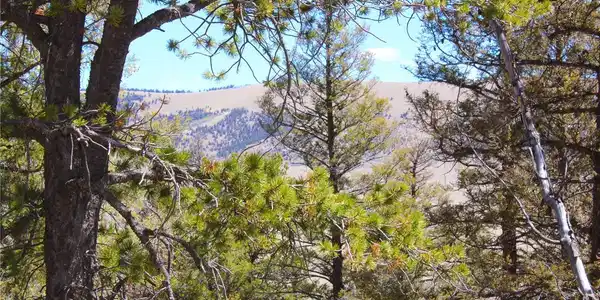 2882 Middle Fork Vista