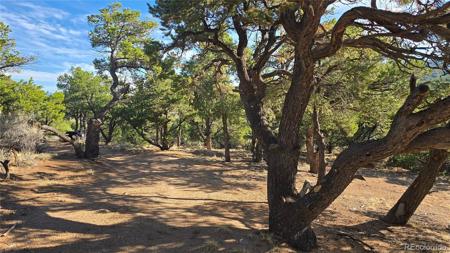 Lot 2232 Solaz Road