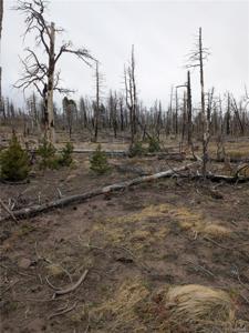 Lot 2296 Wohlstetter Loop