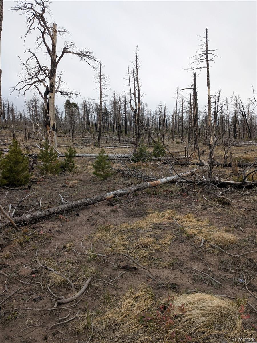Image 1 Image 1