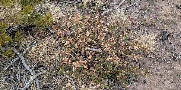 Image 4 Image 4