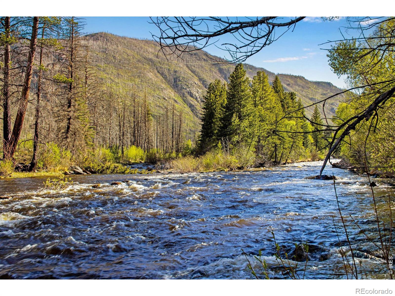 Image 2: This property features over 1000 feet of the Cache la Poudre River. Image 2: This property features over 1000 feet of the Cache la Poudre River.