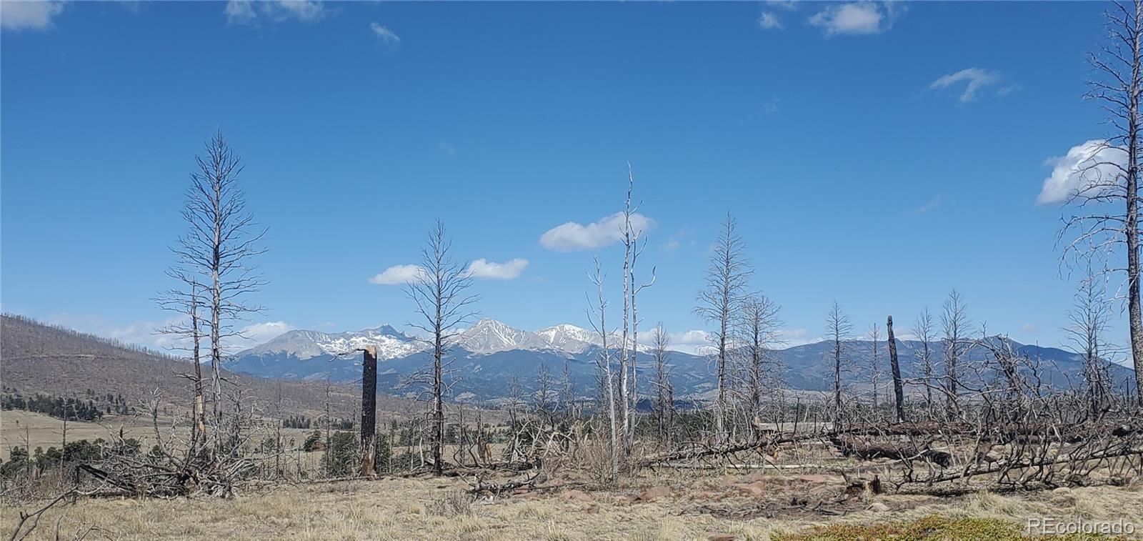 Image 4 Image 4