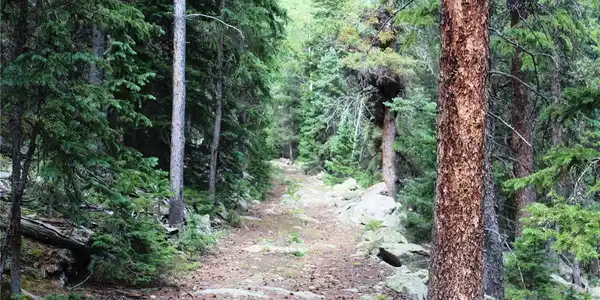 Image 2 Image 2