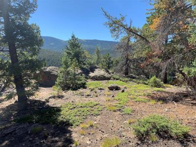 32764 Lodgepole Circle