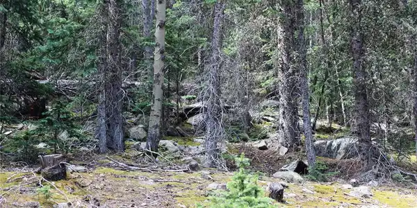 Image 3 Image 3