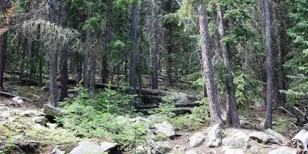 Image 4 Image 4
