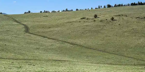 Image 2 Image 2