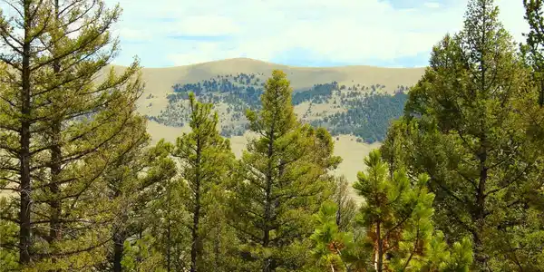 2882 Middle Fork Vista