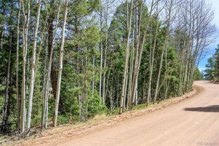 3167 N Mountain Estates Road