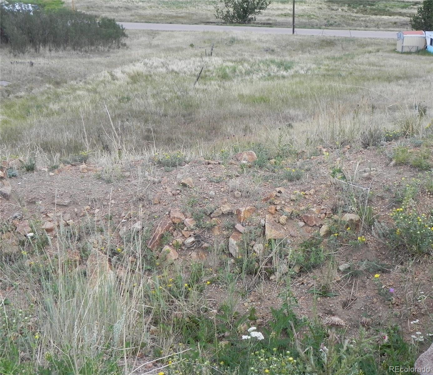 Image 4 Image 4