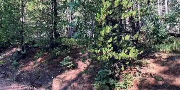 Image 3 Image 3