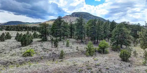 10050 County Rd 102