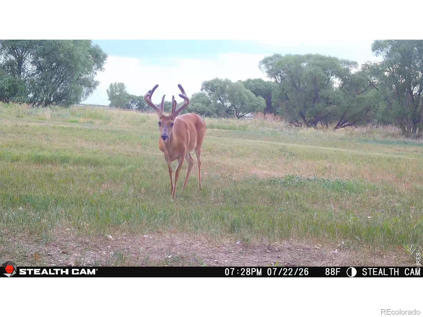 Image 2 Image 2