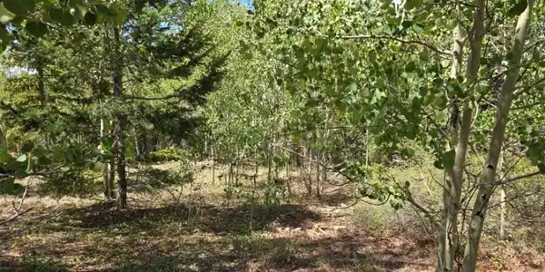 Image 4 Image 4