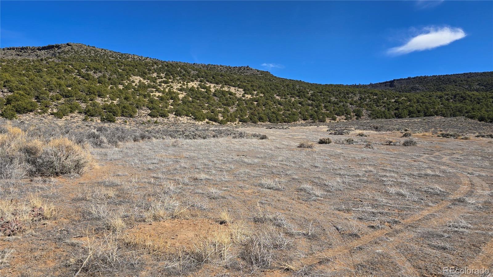 Image 3 Image 3