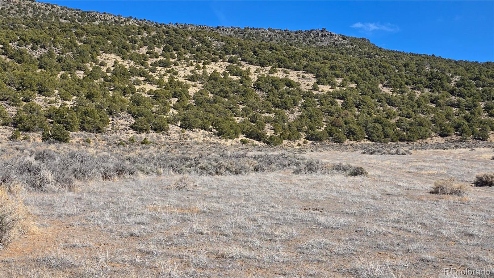 Image 4 Image 4