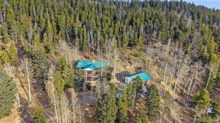 66 Lodgepole Circle