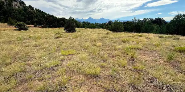 12590 US Highway 50