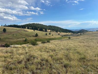 1100 Grumpy Burro View