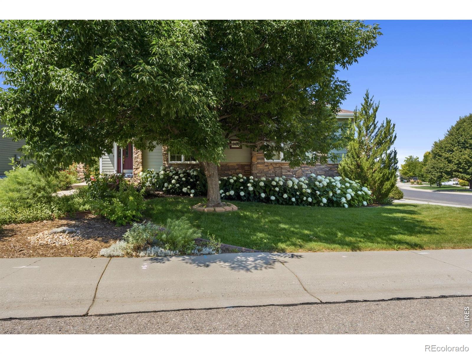 Image 2: Amazing mature landscaping Corner lot across from additional open space. Image 2: Amazing mature landscaping Corner lot across from additional open space.