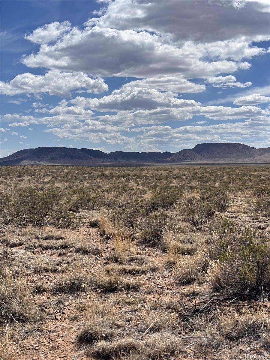Image 4 Image 4