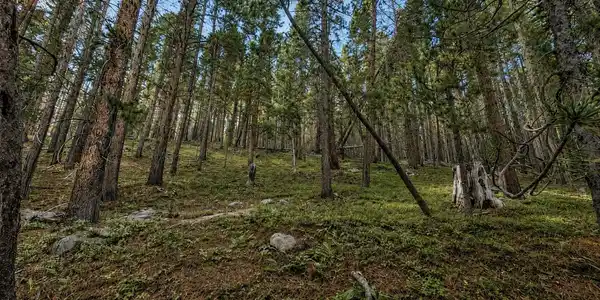Image 4 Image 4