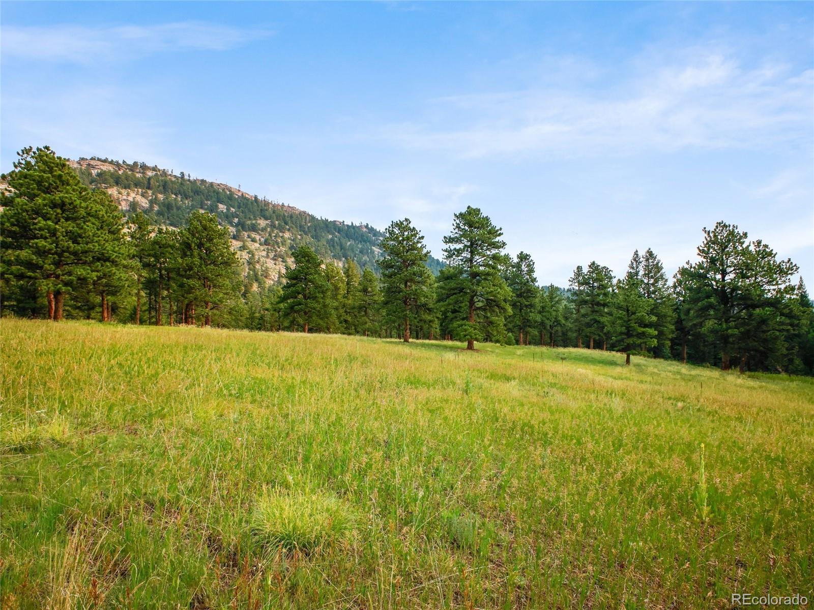 Image 3: Flat, open meadow Image 3: Flat, open meadow