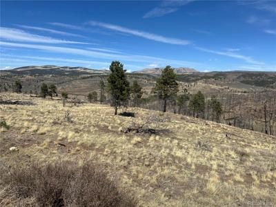 Lot 184 Forbes Park