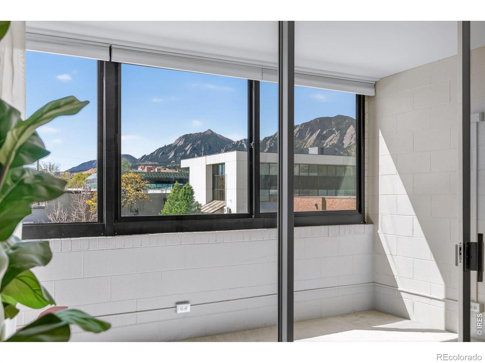Image 3: View from living room and enclosed porch Image 3: View from living room and enclosed porch