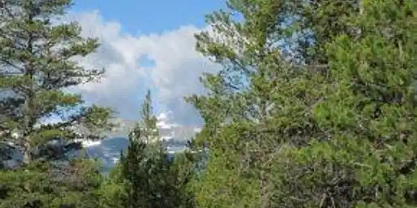 205 Alpine Cirque