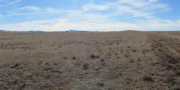 Image 4 Image 4