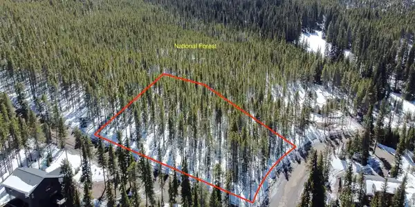Image 4: Approximate lot lines- bordering National Forest. See attached survey
