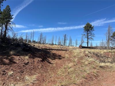 lot 542 Forbes Park