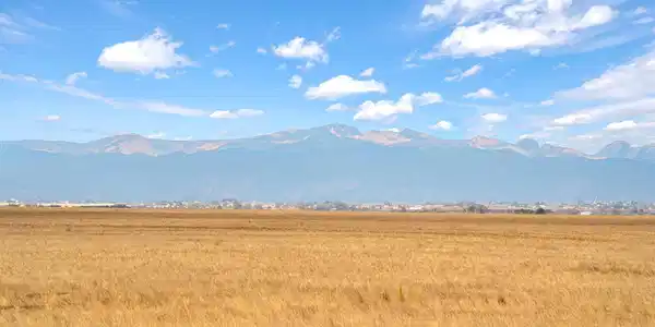 CR 51