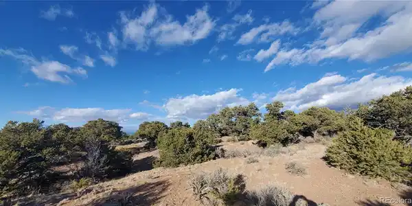 Image 4 Image 4