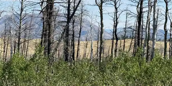 Image 4 Image 4