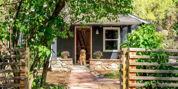 31 Silver Spruce