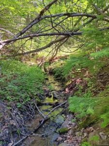 Lot 5244 Crossman Road