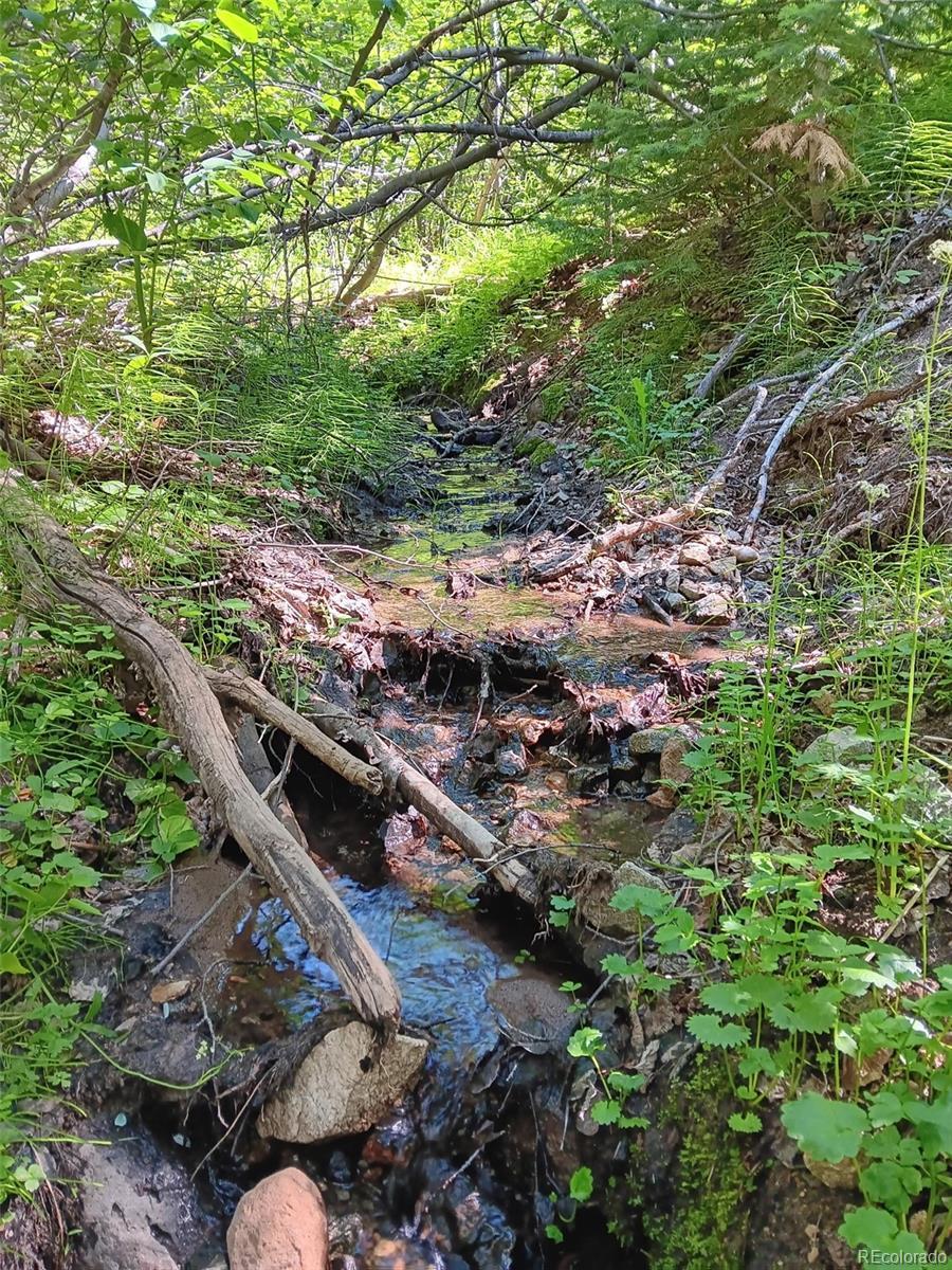 Image 3 Image 3