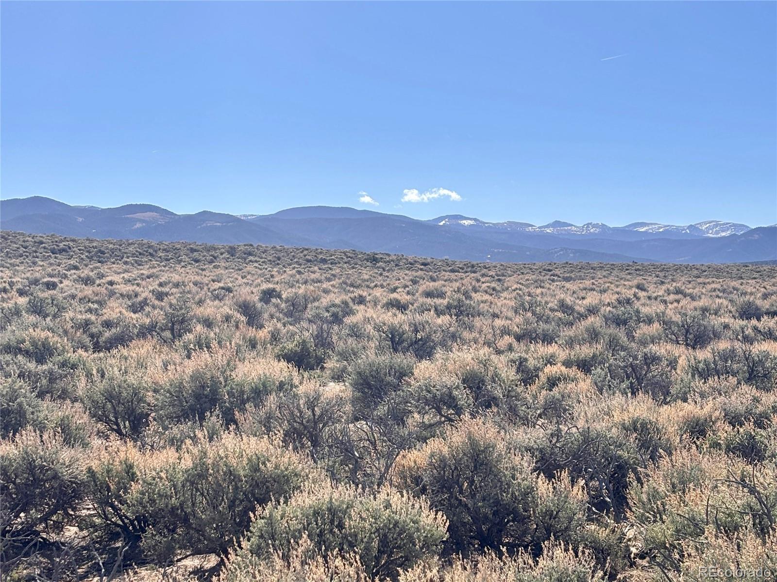 Image 4 Image 4